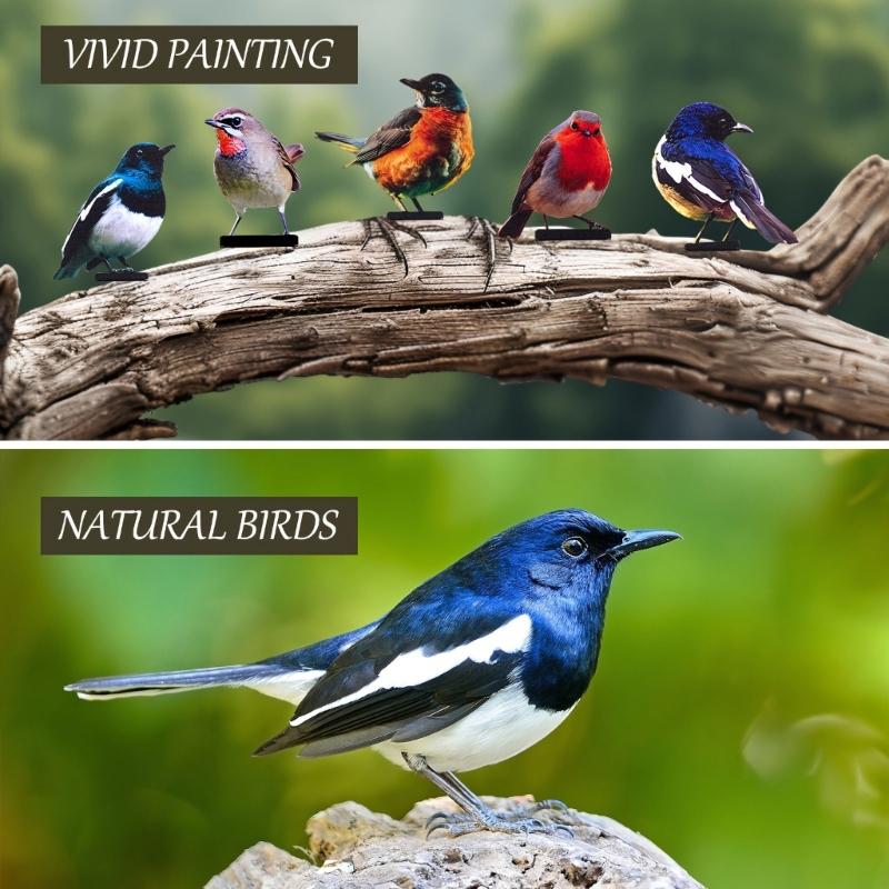 Colorful Metal Bird Enhancements Pack Of 5 For Garden Fence Yard