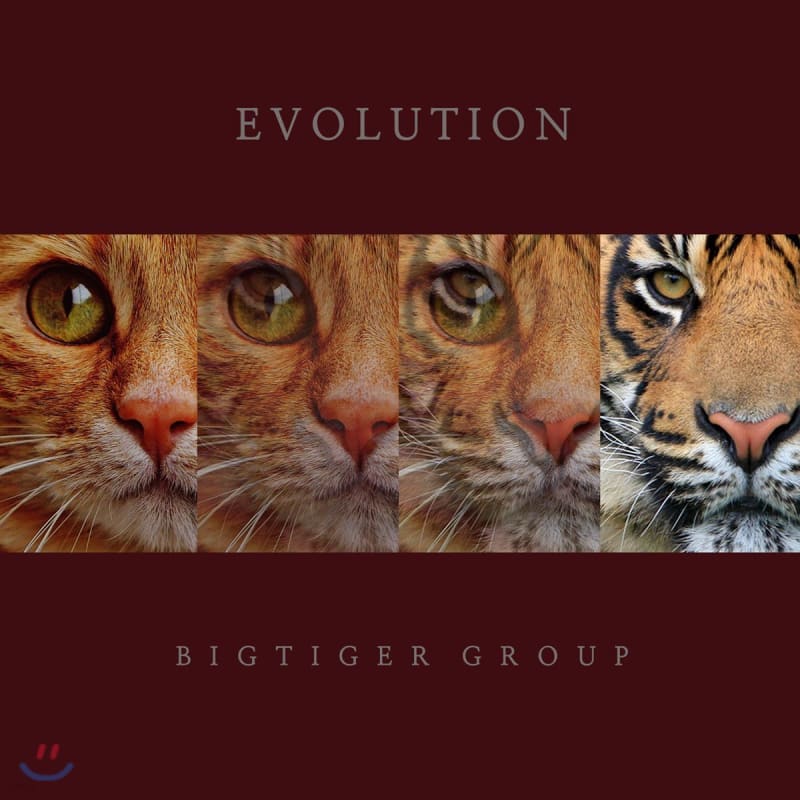

Bigtiger Group - Evolution