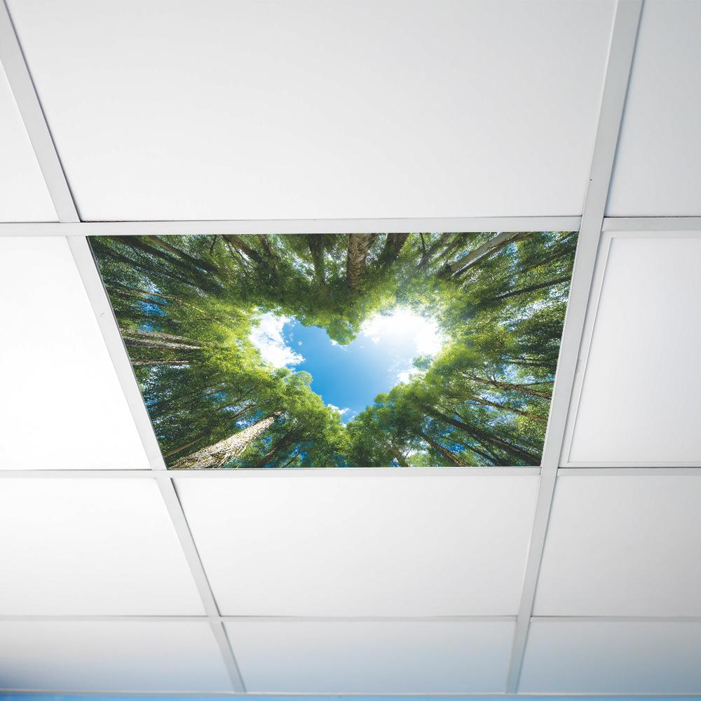 Adesivos de Decoração de Parede de Fundo Sky Home em Formato de Coração Sob a Copa da Floresta