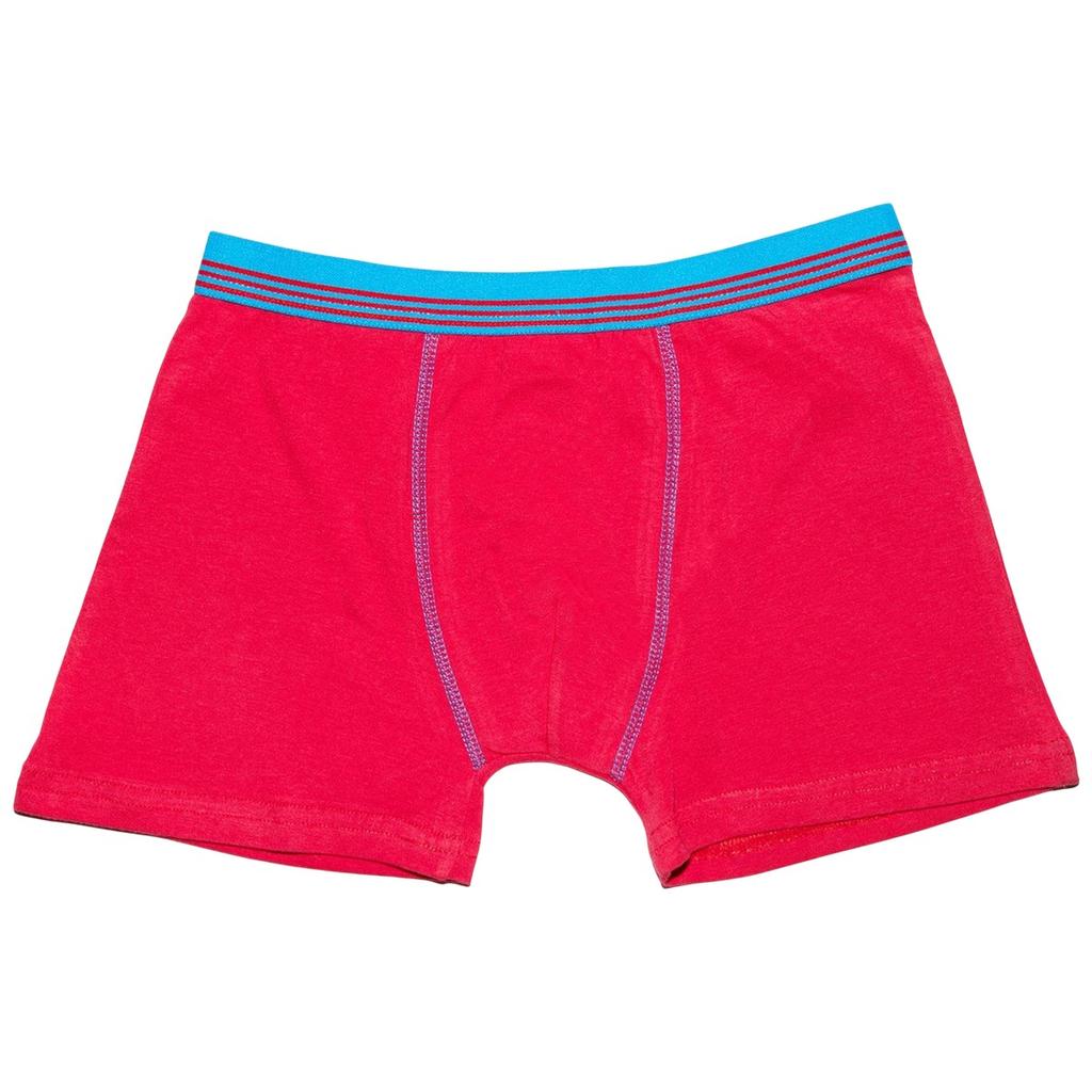 Keanu Boys Striped Boxer Shorts (Pack of 6)