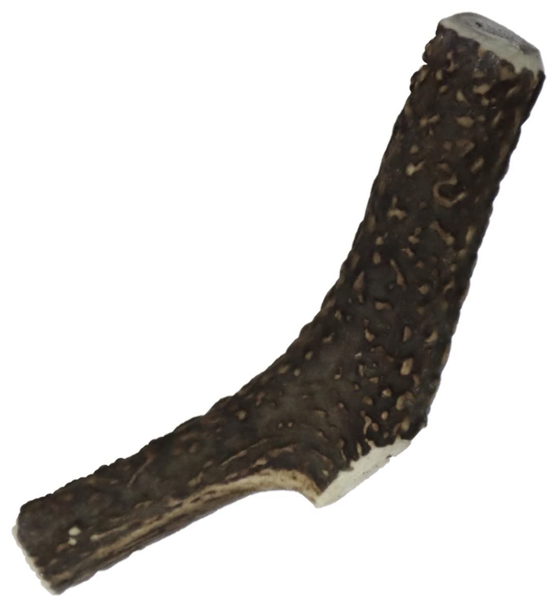 

Лаборатория кормов для домашних животных Оленьи рога Без жевания для собак Нет Сделано из оленя Прорезывание зубов Уход за зубами 15 см для средних [Сделано в Японии, Добавки] Игрушка, Игрушка, Добавки,