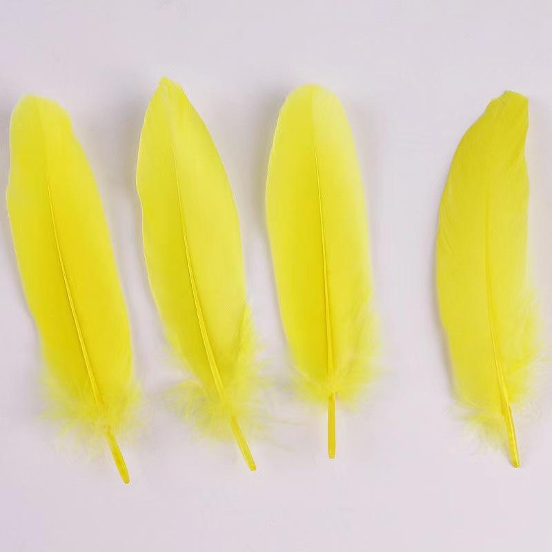 50Pcs Shellfish Feather Goose Feather Diy Handmade Jewelry Accessories Handicrafts Cat Toys Decorative Feathers