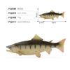 Solid Static Simulation Marine Animal Model Plastic Ornament Golden Arowana Silver Arowana Children'S Toy Figure