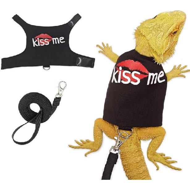 Bearded Dragon Leash and Harness Adjustable - Bearded Dragon Leash and Harness Set with Lizard Luminous Leash for Amphibians Chameleons Small Pet чёрный