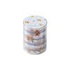 Gevlekt Licht Achter Het Sluier Serie Vintage Bloemen Ster Landschap PET Tape Creatief DIY Journal Materiaal Collage Schrijfwaren