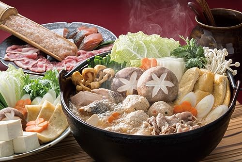 Ikenaga Iron Works S Iron Pot 21cm