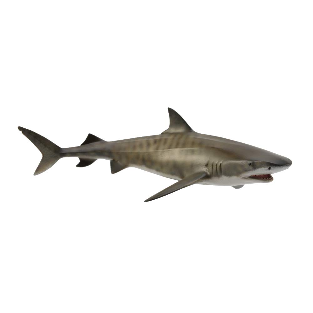 Collcta Tiger Shark 16.51 x 7.62 x 5.08 cm 88661 Animal Figurine Hand-Painted