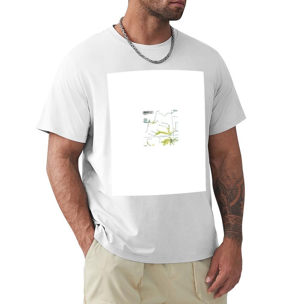Brian Eno Ambient 1 High Quality Tshirt High Elasticity Sports Tee Shirt