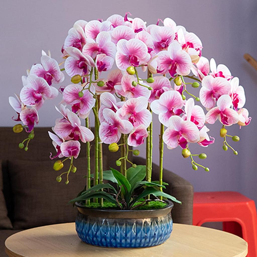 HinyoCo 5 Pcs Artificial Orchid Flowers and 2 Bundles Leaves,Artificial Phalaenopsis Flowers 32 Inch Stem Plants for Home Wedding Decoration (White