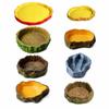 Tree Stump Shape Reptile Feeding Bowl Multicolor Reptile Bathtub  for Tortoises
