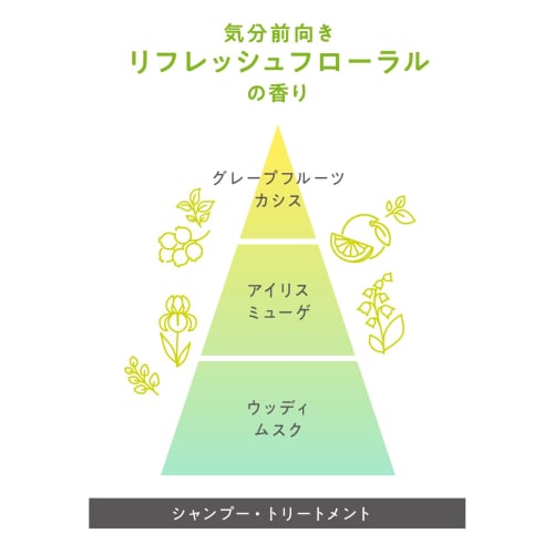 Flat Essential Flat Volume Reducing Shampoo for Curly Hair, Wavy Hair, Hair Ends That Do Not Spread Easily, Straight Hair, Combination of Stiffness Re