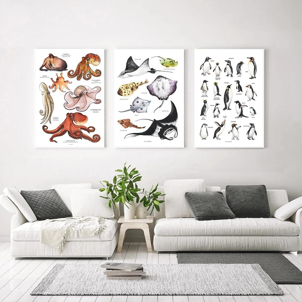 Scandinavian Simple Wall Art Rays Octopus Whale Shark Marine Animal HD Canvas Poster Print Home Bedroom Living Room Decor