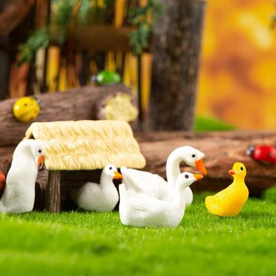 Decoración para el hogar
– Terrarios decorativos