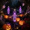 Waterproof Skeleton Stakes for Path Solar Yard Stake Light, Halloween Glowing Skull Garden Decor Powered Holiday with Cloak, Outdoor Lawn Lamp Haunted