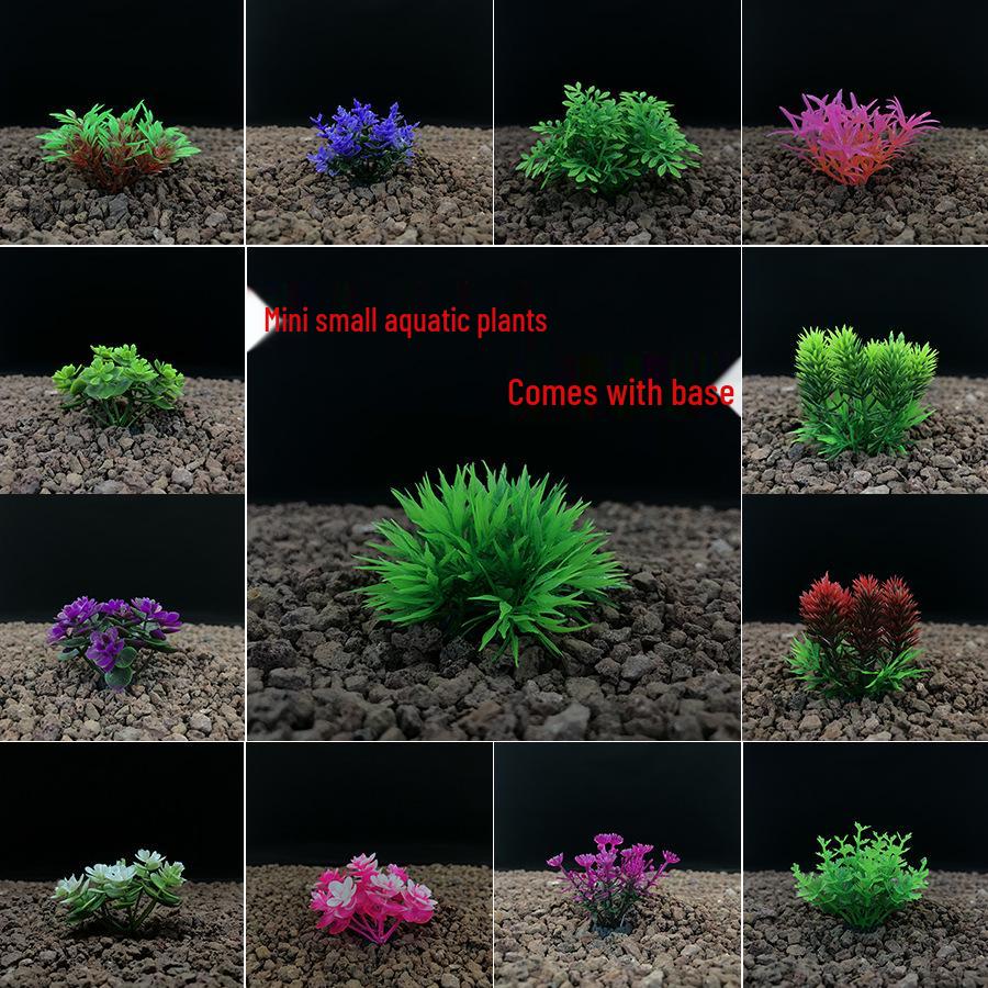 Aquatic Plant Mini Landscape: Fish Tank Simulation with Seaweed and Succulents