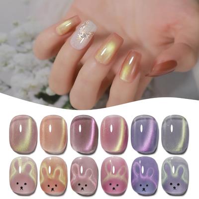 Coikaze Magnetická Farebná Magnetická Gél Magnetycká Farba Ťažko Viditeľná Magnetická Nechty Mačacie Oko Tlmené Mačacie Oko Gél na Nechty Sada Polárna Žiara Magnetické Nechty,