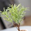 Simulation Grünzeug Blätter DIY Hochzeitsornament Blumenarrangement Material Requisiten Shooting Heimdekoration Plastik Künstliche Blätter Eleganz Künstliche Blumen