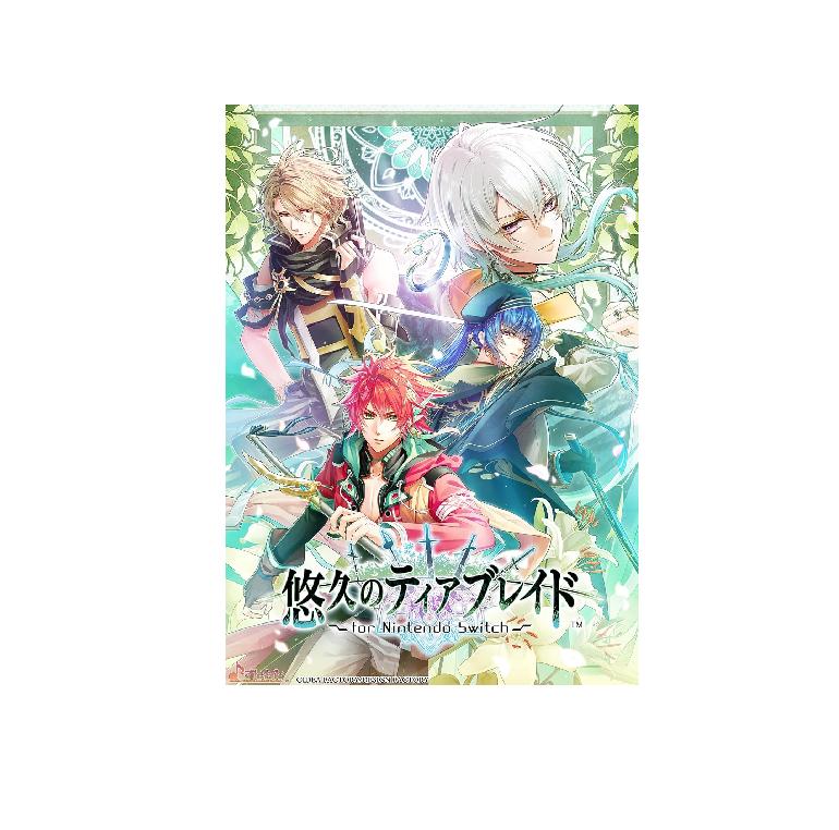 

NINTENDO SWITCH Eternal Teaser Blade Специальное издание Япония НОВЫЙ