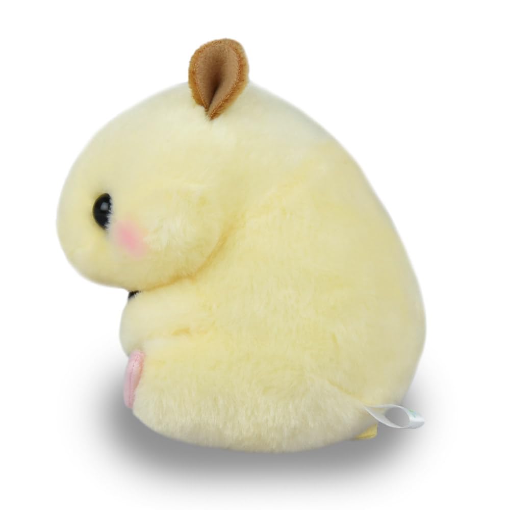 AMUSE Koroham Colon ST Sunflower Seeds Kin-chan