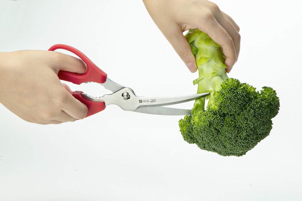 Green Bell Stainless Steel Kitchen Scissors Red Made in Japan All Islands 22cm Pull-Cut SJ-K120