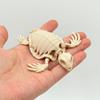 3D Printed Articulated Shark Skeleton Display Model Full Swingable Joints Marine Life Art Piece for Office Desk Decoration