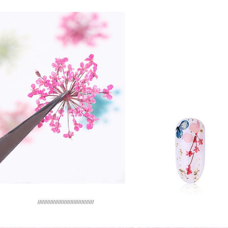 1Box Dried Flowers Dry Plants for Rsein Molds Fillings Epoxy Resin Pendant Tweezers Jewelry Making Craft DIY Nail Art Decoration