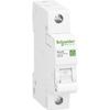 Circuit Breaker - Schneider Electric - R9F23116 - 16 A - 230 V - Thermal-magnetic