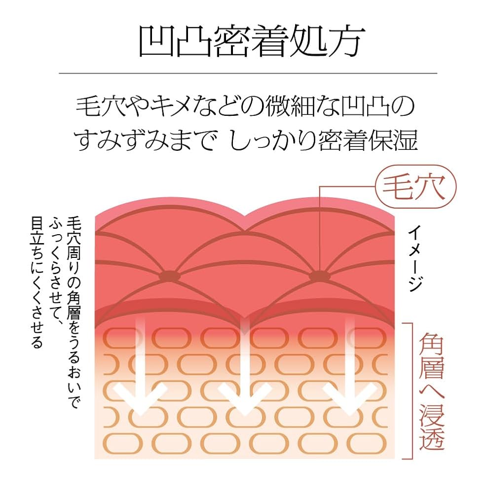 Sofina iP Authentic Japanese Product B0CCJBHQKR