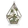 Glass Terrarium, Large Pentagon