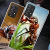 Red Fire Ants, Worker Ants Phone Case for Samsung A54 A57 A37 A17 A14 A15 A12 A24 A34 A55 A35 A25 A52S A07 A05S A04S A22 A32 A72