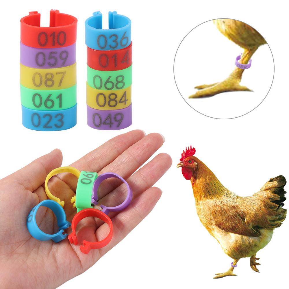 100pcs Portable Poultry Leg Tags Mixed Colour Bird Leg Sign Rings  Chicken Identification