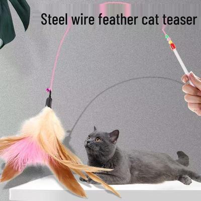 Long Rod Steel Wire Cat Teaser with Feather & Bell - Interactive Bite-Resistant Replacement Cat Toy
