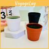 Plastic Flower Pot With Foam For Home Gardening And Live Plant Display