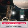 Energizer LED Lantern, Solar-Powered, USB-Powered, and Battery-Powered (Maximum Brightness 500 Lumens / Maximum Lighting Time 48 Hours) YSLN31