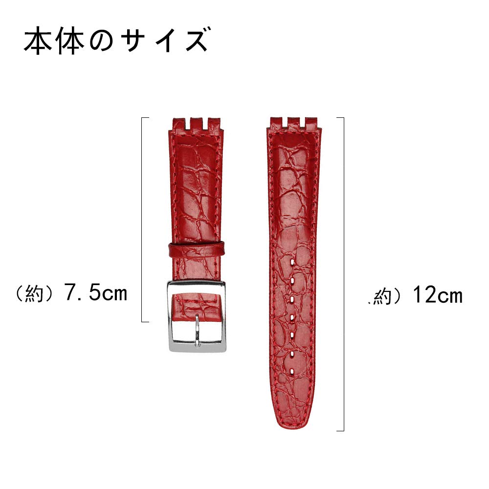 ZHUOLEI Replacement Watch Strap for 17mm 3 Spring Spring Bar and Swatch, (Includes Bars, Remover, Box)