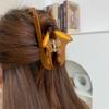 Personalized Acetic Acid Acetate Guitar Hair Claw Piano Video Tape Music Hair Clip Hair Accessories Sax Big Shark Clip Female