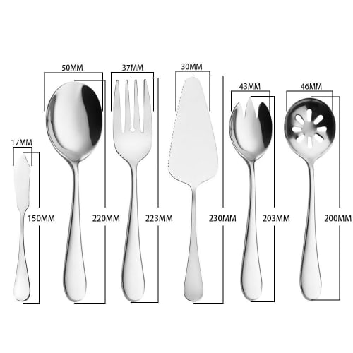 AOOSY Cake Knife, Cake Server, Cake Decorator, Pie Server, Stainless Steel, Exported To Europe and the US, Stylish, Birthday, Family Use (1 Cake Serve