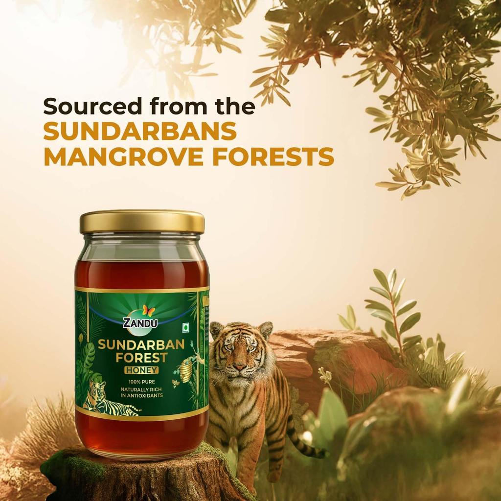 Zandu Sundarban Forest Honey 500 G Pure Mangrove Honey Signature Floral Taste Natural Sweetener No Sugar Adulteration