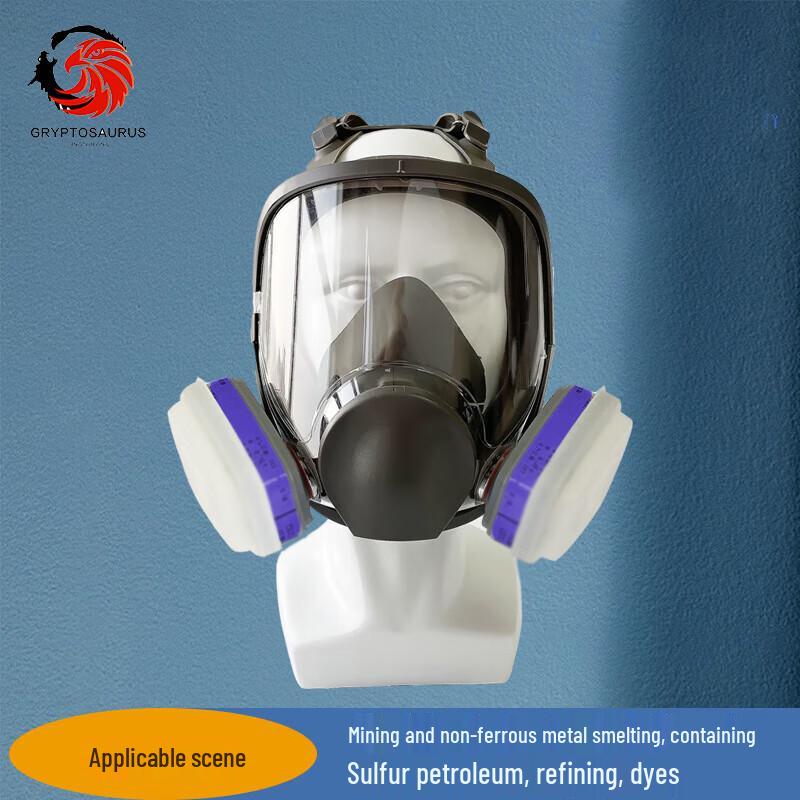Eagle Beak Dragon 6800 Gas Mask Set
