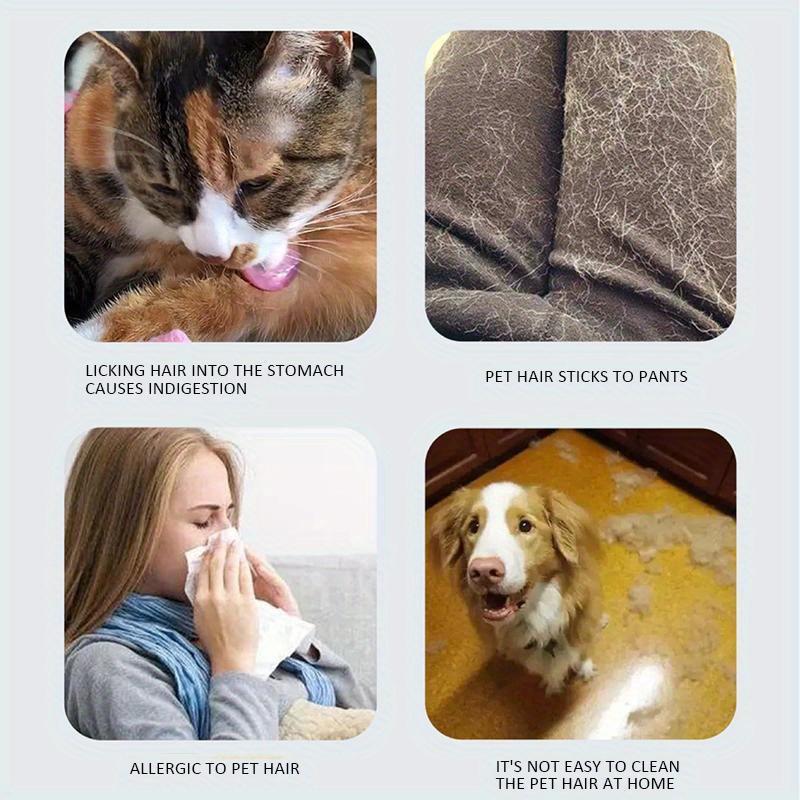 Pet Hair Remover Reusable Dog and Cat Fur Roller Sofa Clothes Fluff Cleaning Brush