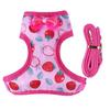 Rabbit Harness and Leash Small Animal Clothes for Rabbit Duck Small Animal