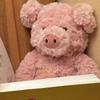 British Barnabus Pink Piglet Plush Doll Children Soothe Barnabus Piglet