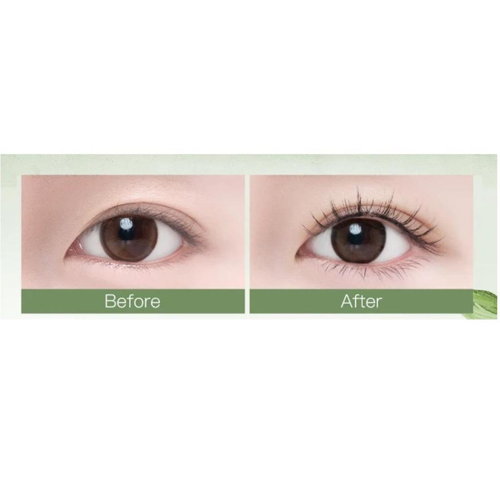 WOSADO Wide Magnetic False Eyelashes, Natural-Looking, No Glue Required, Black Widen Version, 9-10~11-10mm Length, 23mm Width