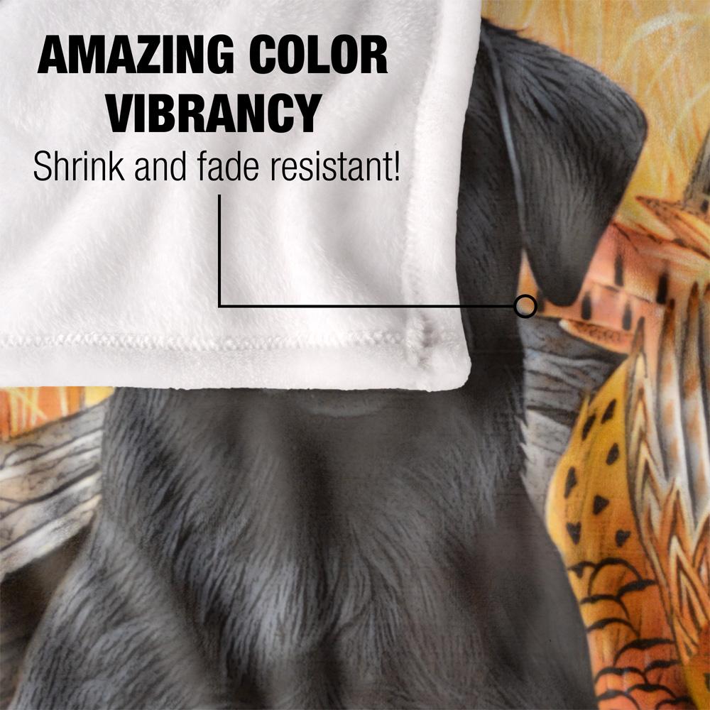 JQ Licensing Jg-Jp Silky Black Labrador Supersoft Blanket