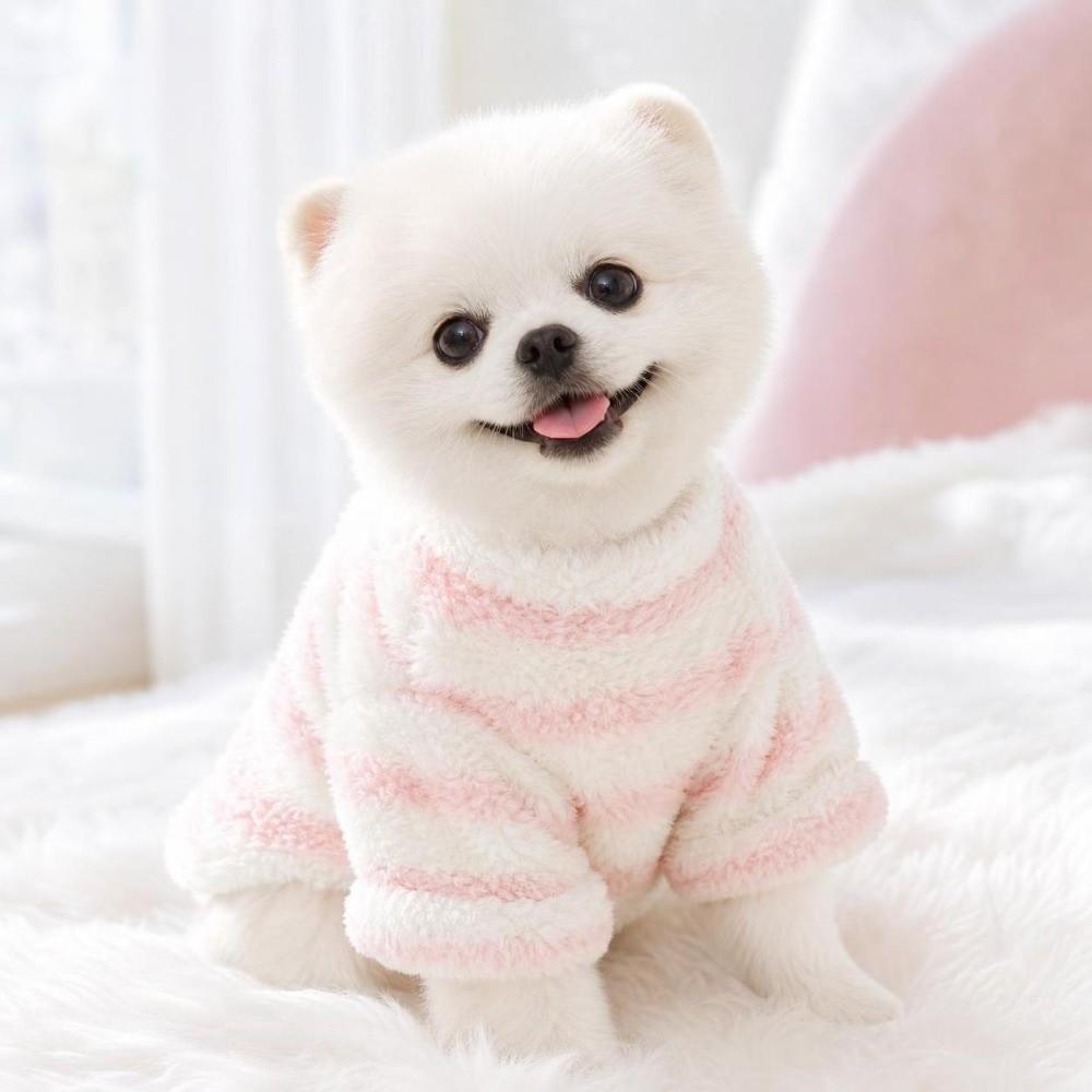 Winter Dog Hiking Jacket Stripes Dog Bodysuit Fashion Plush Dogs Coat for Small Medium Dog