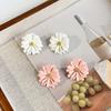 Lovely Spring Summer Daisy Flower Earrings For Women Korean Jewelry 2025 Trendy Sweet Blossom Stud Earrings Jewelry Gifts