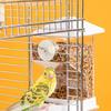 Automatic Bird Food Dispenser Container Hanging Parrots Feeder for Parakeets and Small Bird with Transparent Design