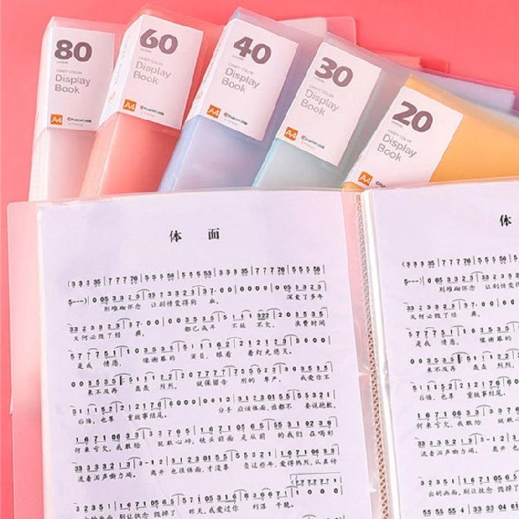 A 4 Clear Test Papers Organizers 80 Pages File Folder Large Capacity Storage Folder Document Bag