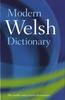The Modern Welsh Dictionary : A Guide To the Living Language Book