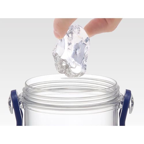 Skater Water Bottle, 480ml, Dinosaur Picture, Plastic Clear Bottle, for Kids, Made In Japan, PSB5TR-A